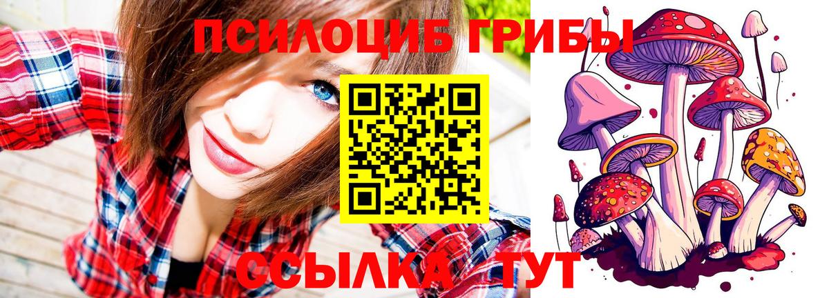 Новокуйбышевск  Галлюциногенные грибы Psilocybe  Вход с VPN 